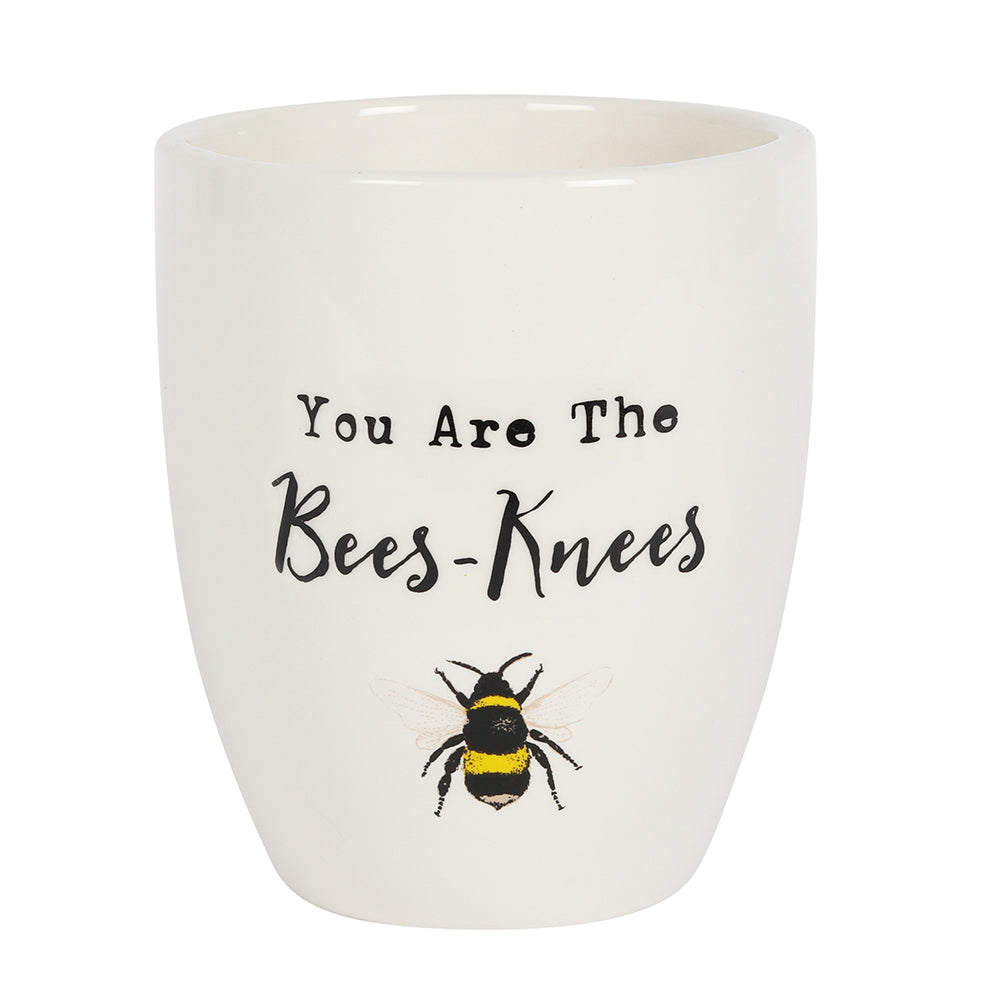 You Are the Bees Knees Ceramic Plant Pot - LB Clothing