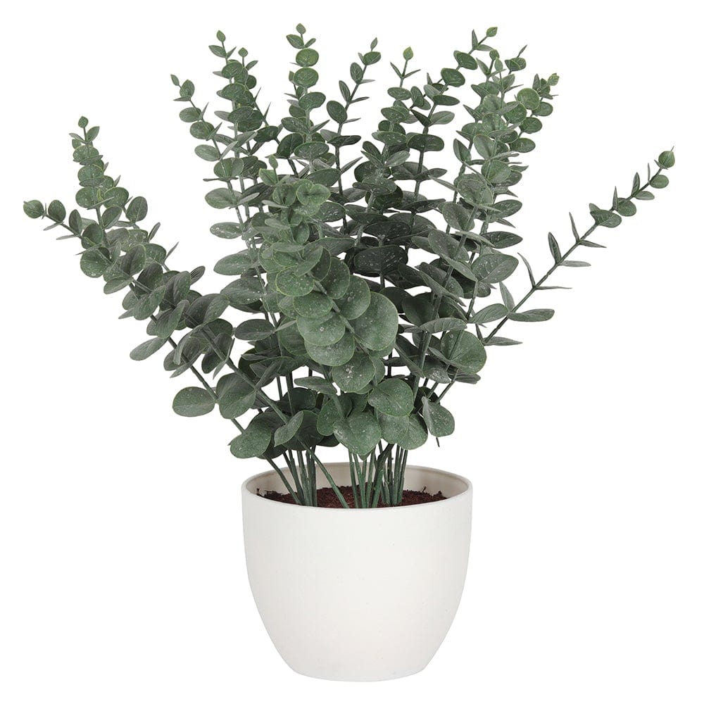 36cm Faux Eucalyptus Plant in White Pot - LB Clothing